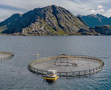 Zone de pêche agricole