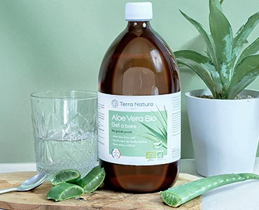 Aloe Vera en gel de Terranatura