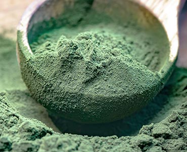 Spiruline en poudre