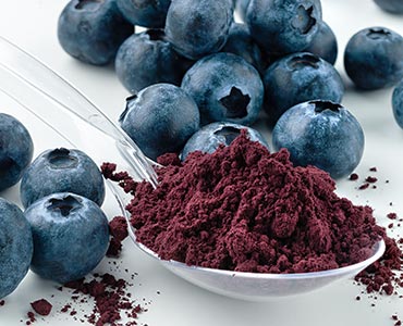 Poudre de blueberry