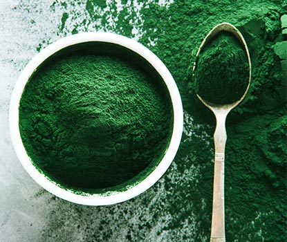 Spiruline en poudre