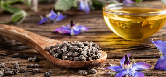 L'onagre et la bourrache :  pour une peau nourrie et hydratée