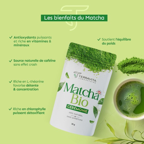 Matcha cérémonie Bio