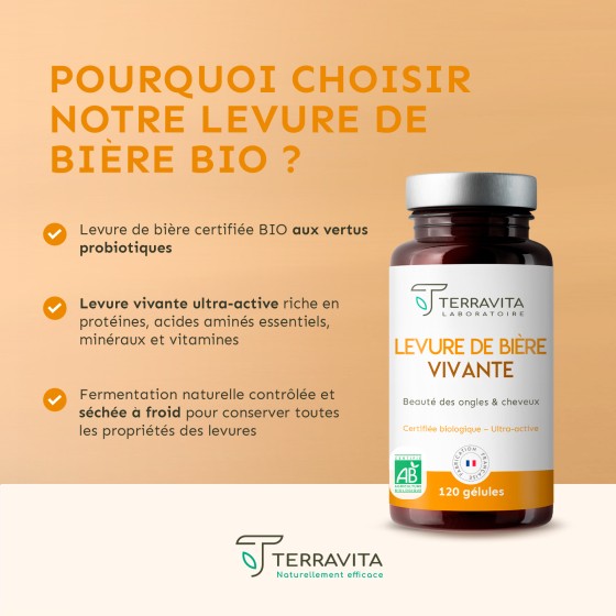 Levure de bière vivante Bio