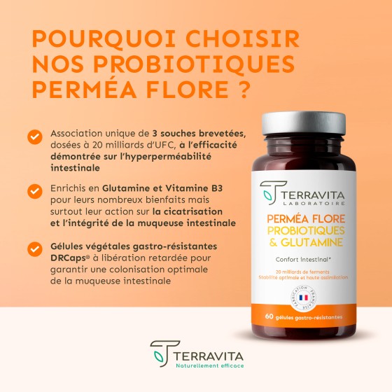 Perméa Flore probiotiques & glutamine