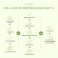 Protéines végétales Bio en poudre