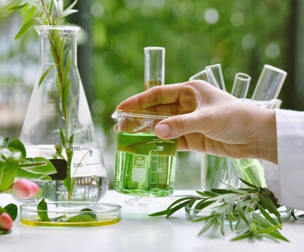 probiotique terravita