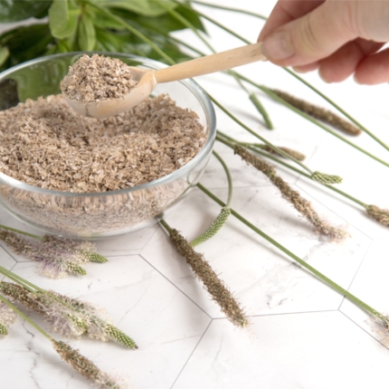 Régulariser son fonctionnement intestinal avec le psyllium blond biologique