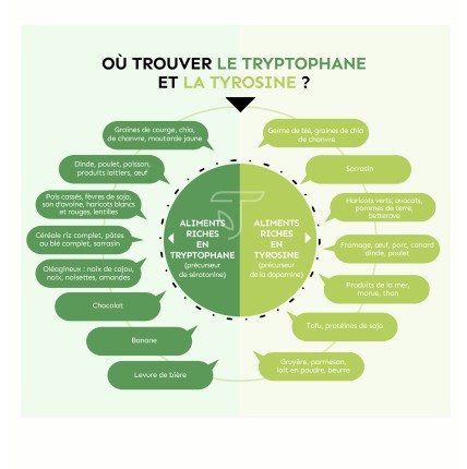 Où trouver le tryptophane et la tyrosine ?
