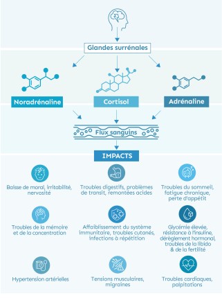 impact du stress chronique : moral, digestion, commeil, concentration, glycémie, hypertension, tensions musculaire, troubles cardiaques