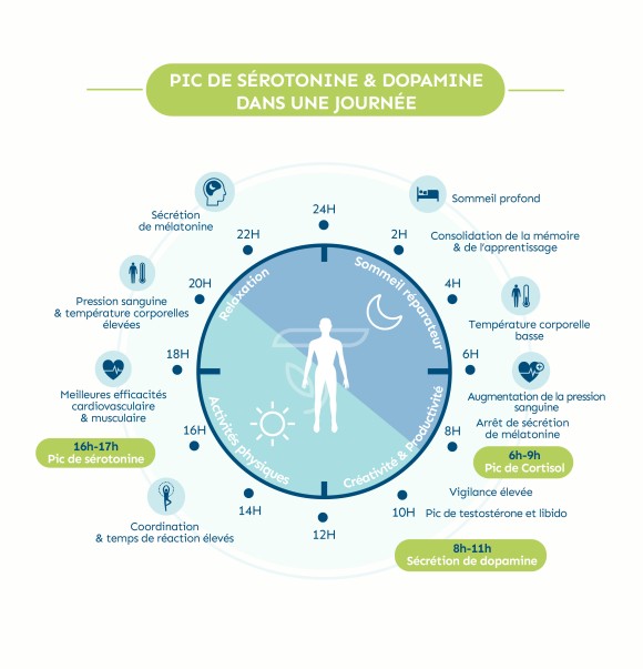 pic sérotonine dans une journée