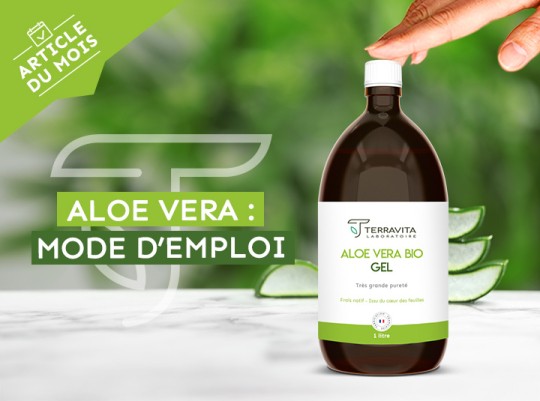 aloe vera