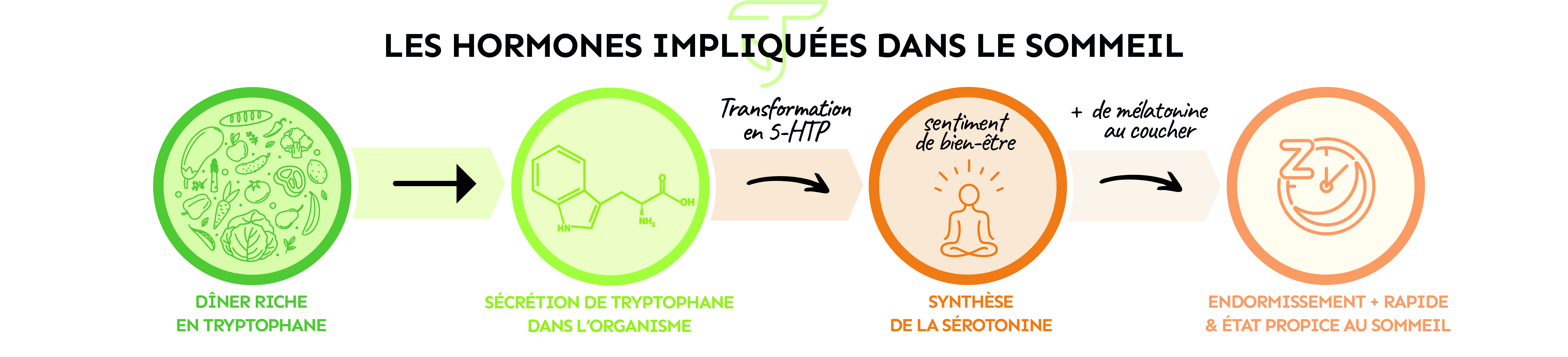 hormones sommeil